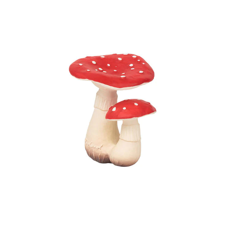 Spot The Mushroom