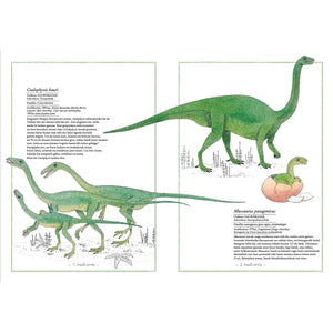 Inventario de los dinosaurios