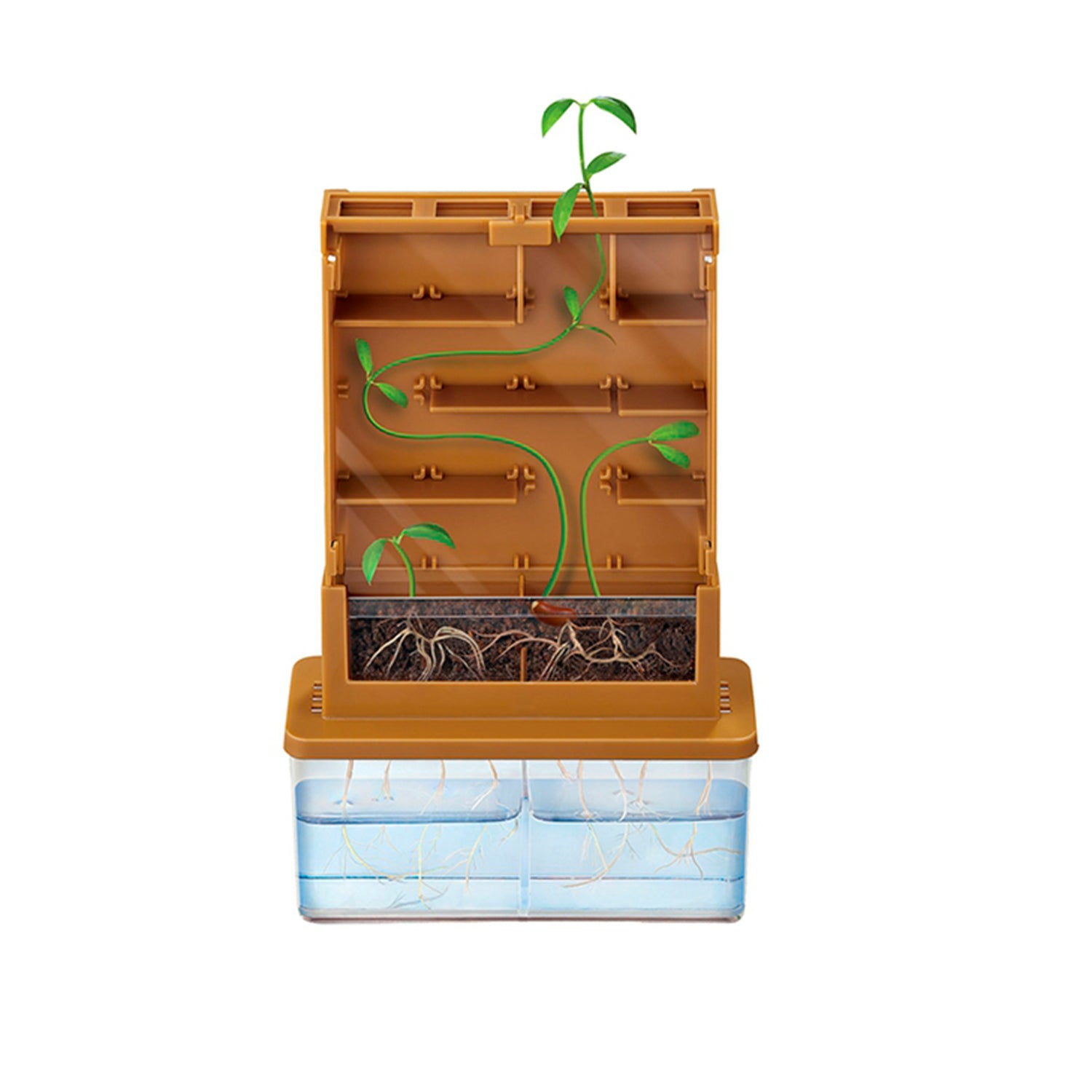 Grow-a-maze -Cultivo laberinto-