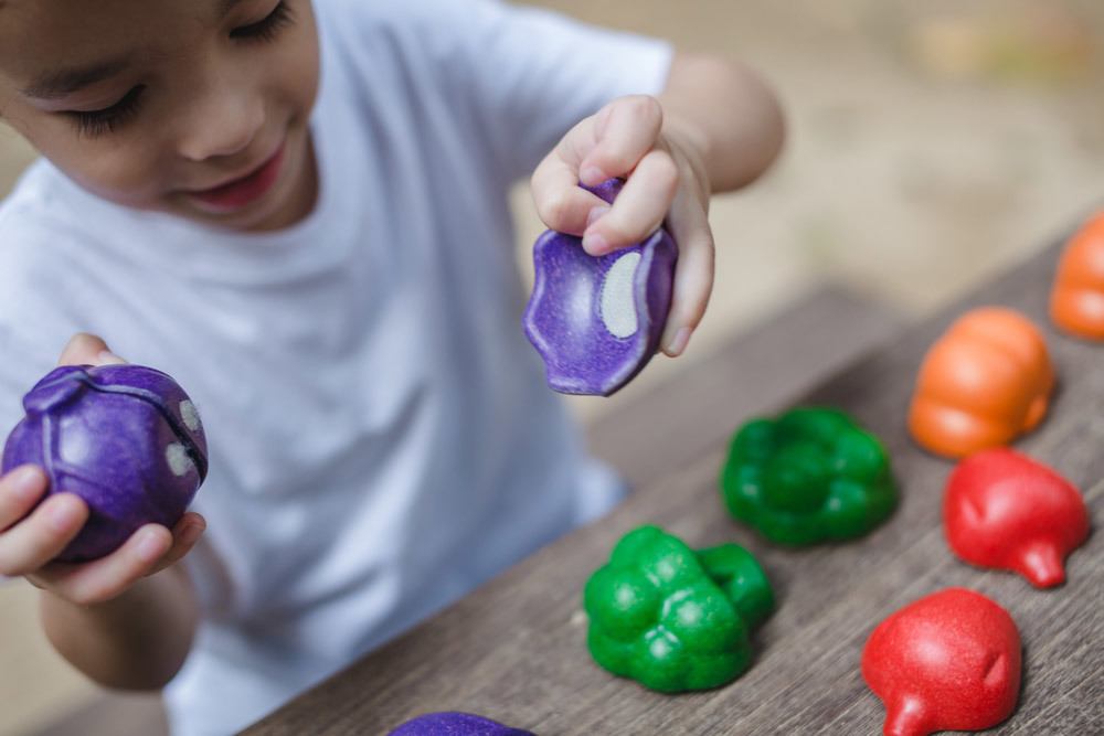 Plantoys. Set de 5 vegetales de colores